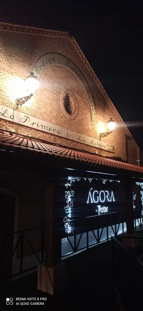 Agora De Protos