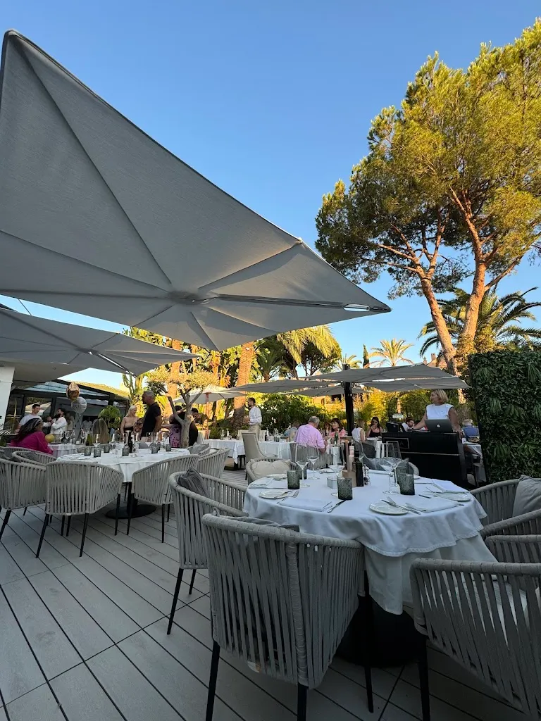 Alba Marbella