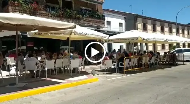 Bar Alex