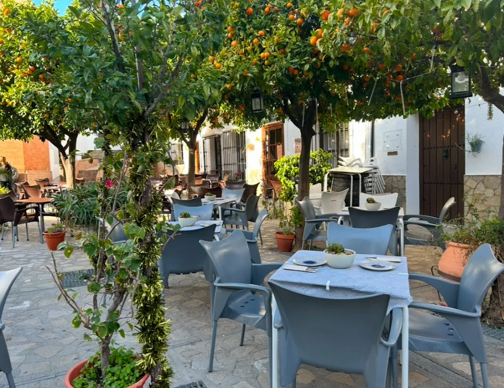Bar Nuevo
