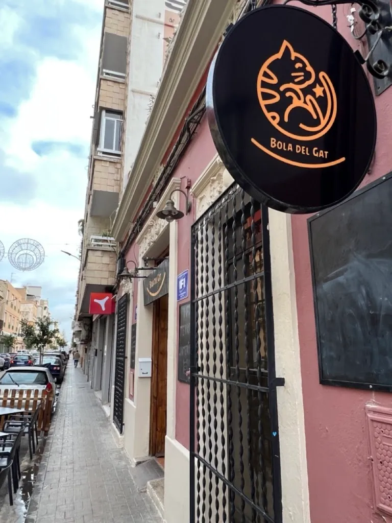 Bola Del Gat