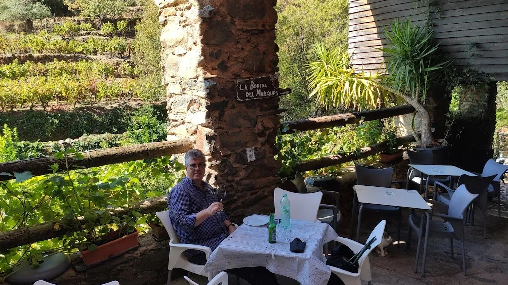 La Bodega Del Marques