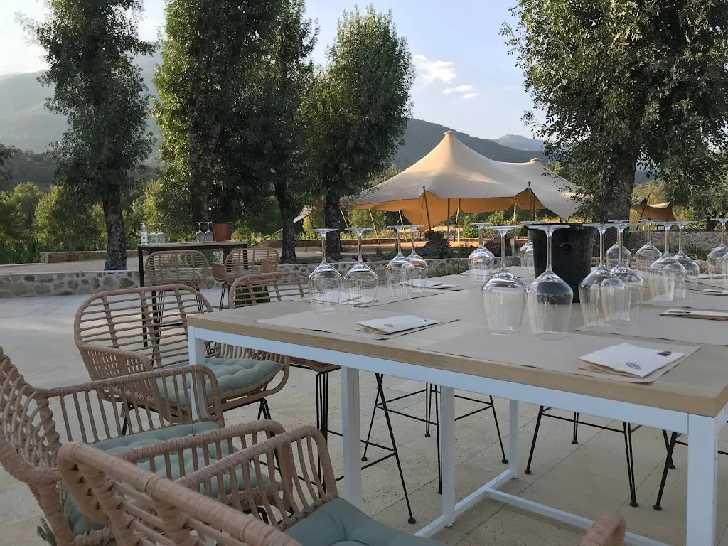Restaurante Y Bodega Huellas Del Tietar